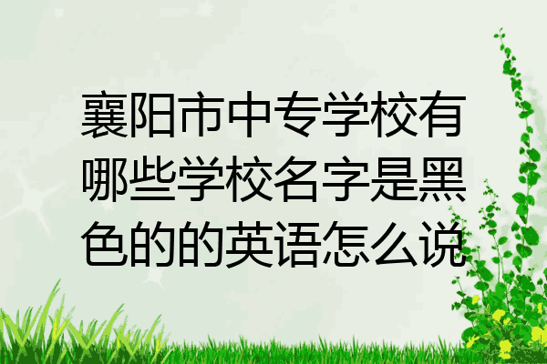 襄阳市中专学校有哪些学校名字是黑色的的英语怎么说