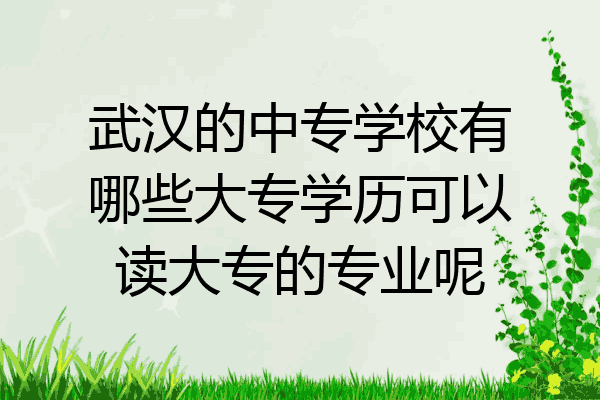 武汉的中专学校有哪些大专学历可以读大专的专业呢