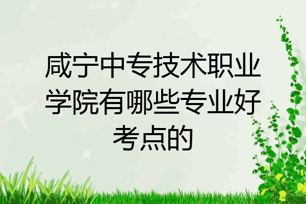咸宁中专技术职业学院有哪些专业好考点的