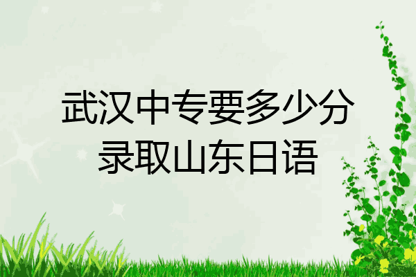武汉中专要多少分录取山东日语