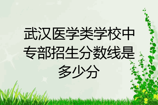 武汉医学类学校中专部招生分数线是多少分