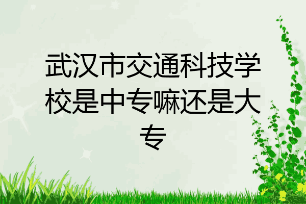 武汉市交通科技学校是中专嘛还是大专