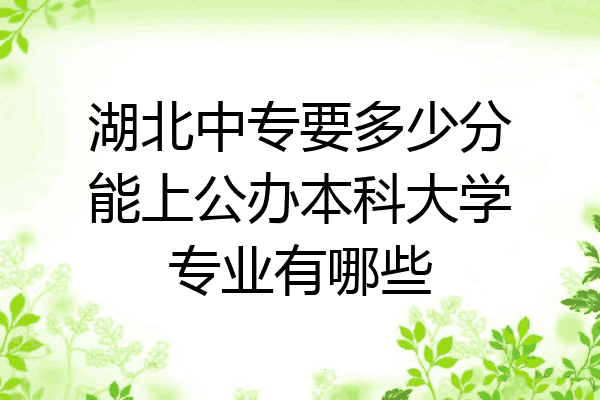 湖北中专要多少分能上公办本科大学专业有哪些