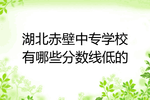 湖北赤壁中专学校有哪些分数线低的