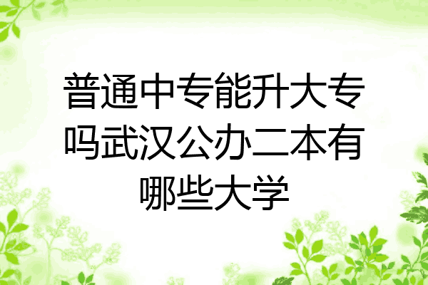 普通中专能升大专吗武汉公办二本有哪些大学