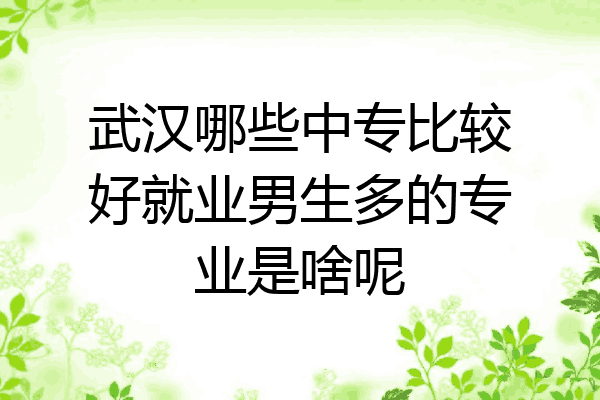 武汉哪些中专比较好就业男生多的专业是啥呢