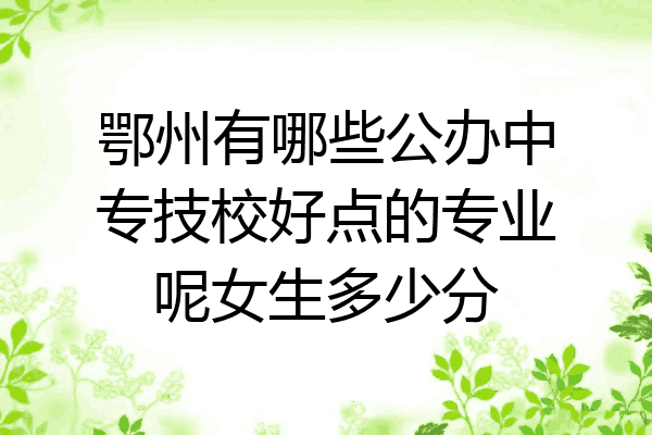 鄂州有哪些公办中专技校好点的专业呢女生多少分