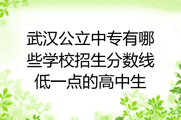 武汉公立中专有哪些学校招生分数线低一点的高中生