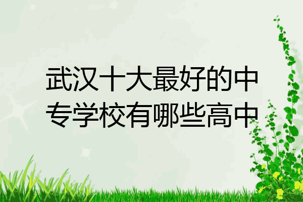 武汉十大最好的中专学校有哪些高中