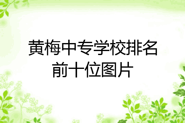 黄梅中专学校排名前十位图片