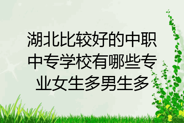 湖北比较好的中职中专学校有哪些专业女生多男生多