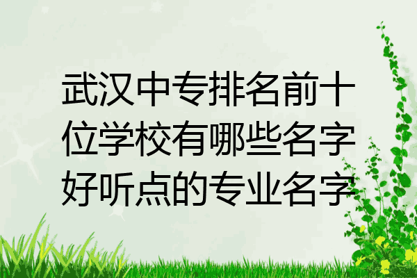 武汉中专排名前十位学校有哪些名字好听点的专业名字