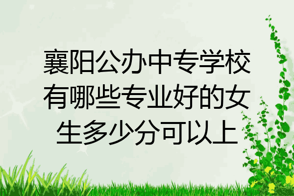 襄阳公办中专学校有哪些专业好的女生多少分可以上