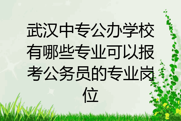 武汉中专公办学校有哪些专业可以报考公务员的专业岗位