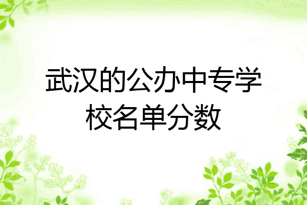 武汉的公办中专学校名单分数