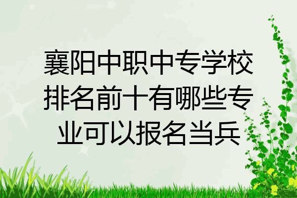 襄阳中职中专学校排名前十有哪些专业可以报名当兵
