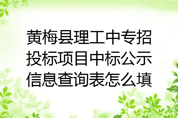 黄梅县理工中专招投标项目中标公示信息查询表怎么填