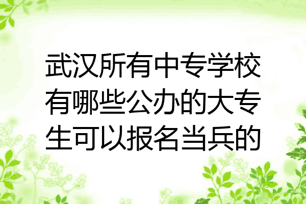 武汉所有中专学校有哪些公办的大专生可以报名当兵的