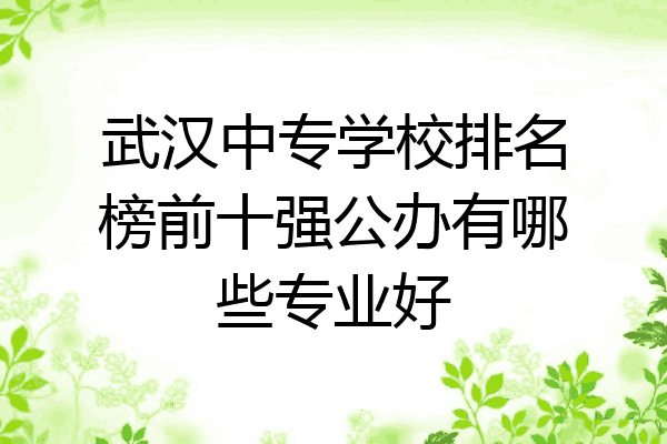 武汉中专学校排名榜前十强公办有哪些专业好