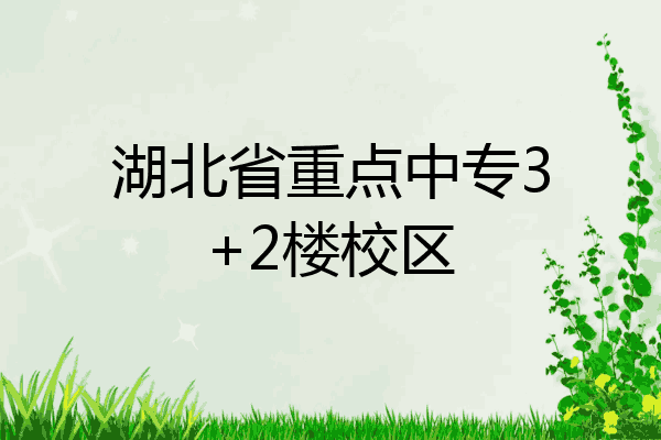 湖北省重点中专3+2楼校区