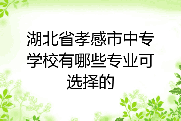 湖北省孝感市中专学校有哪些专业可选择的