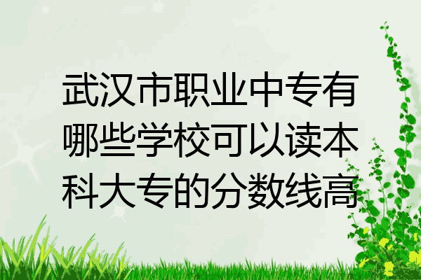 武汉市职业中专有哪些学校可以读本科大专的分数线高