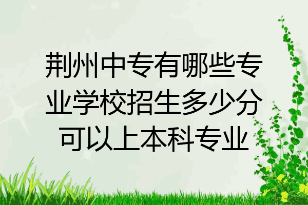 荆州中专有哪些专业学校招生多少分可以上本科专业
