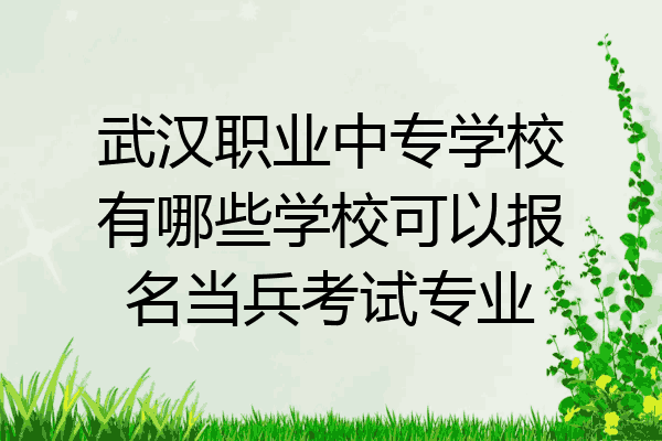武汉职业中专学校有哪些学校可以报名当兵考试专业