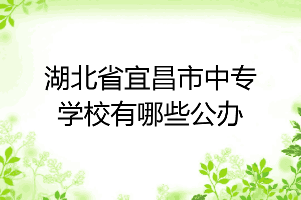 湖北省宜昌市中专学校有哪些公办