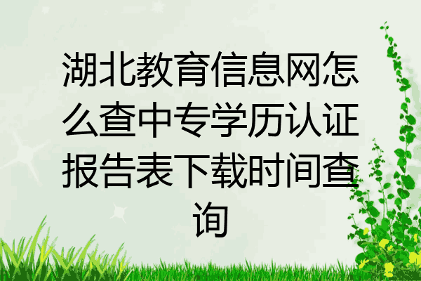 湖北教育信息网怎么查中专学历认证报告表下载时间查询