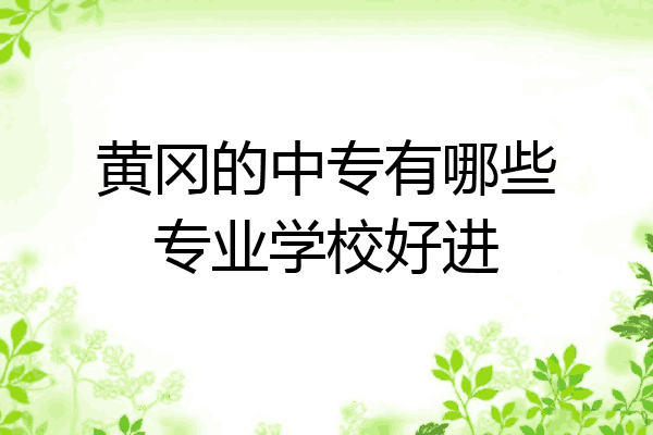 黄冈的中专有哪些专业学校好进