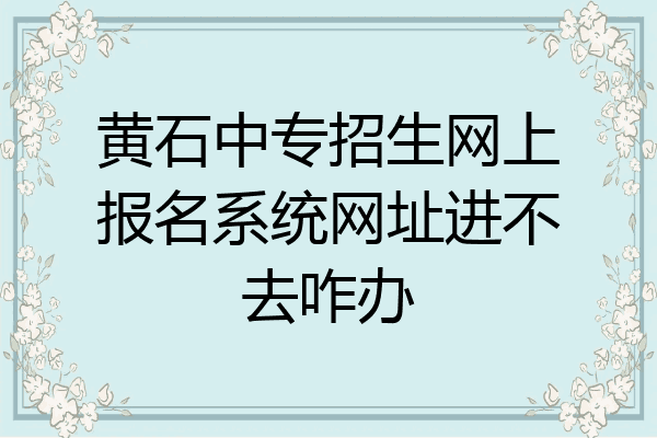 黄石中专招生网上报名系统网址进不去咋办