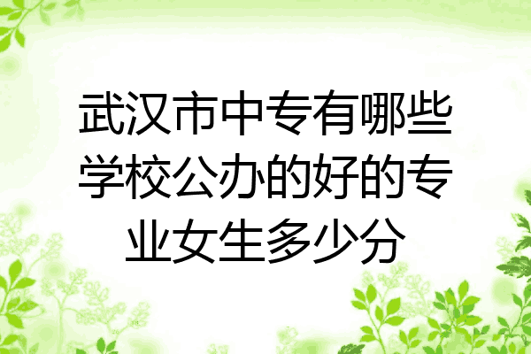武汉市中专有哪些学校公办的好的专业女生多少分