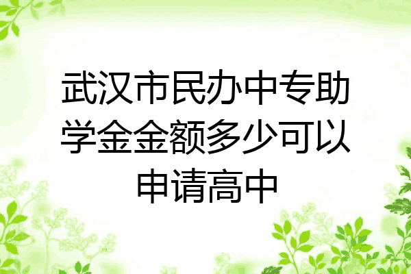 武汉市民办中专助学金金额多少可以申请高中