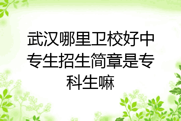 武汉哪里卫校好中专生招生简章是专科生嘛