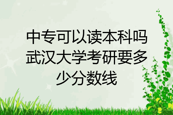 中专可以读本科吗武汉大学考研要多少分数线