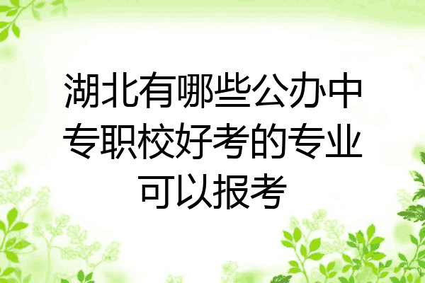湖北有哪些公办中专职校好考的专业可以报考