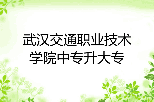 武汉交通职业技术学院中专升大专