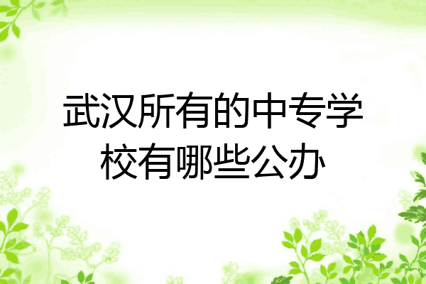 武汉所有的中专学校有哪些公办