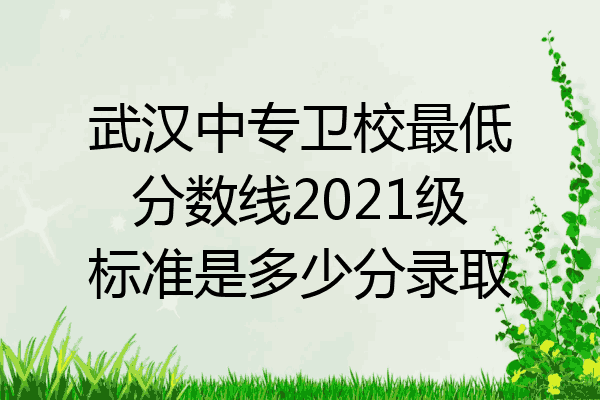 武汉中专卫校最低分数线2021级标准是多少分录取