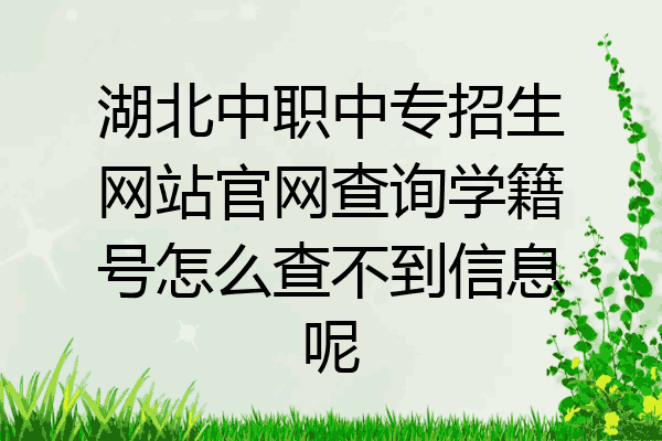 湖北中职中专招生网站官网查询学籍号怎么查不到信息呢