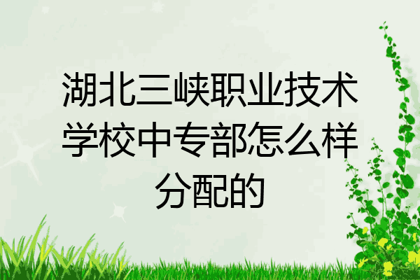 湖北三峡职业技术学校中专部怎么样分配的