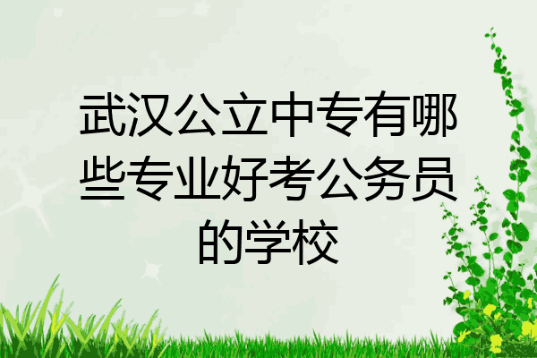 武汉公立中专有哪些专业好考公务员的学校