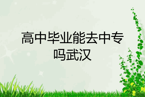 高中毕业能去中专吗武汉