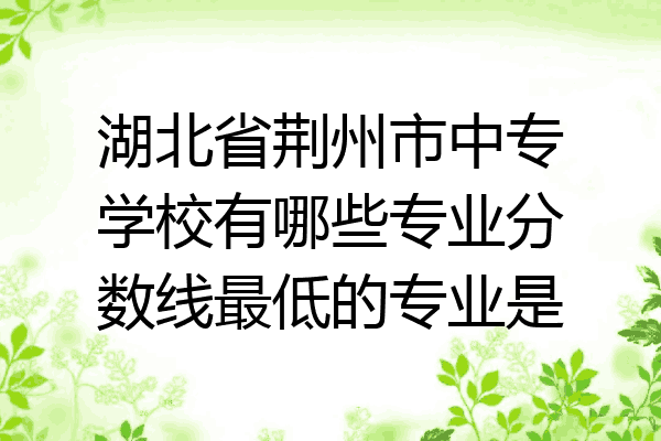 湖北省荆州市中专学校有哪些专业分数线最低的专业是