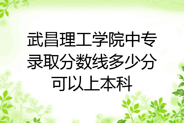 武昌理工学院中专录取分数线多少分可以上本科