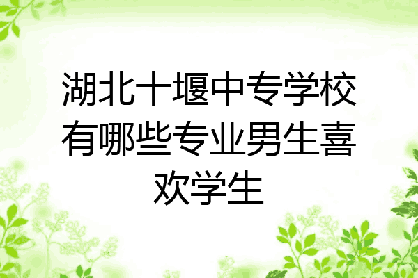 湖北十堰中专学校有哪些专业男生喜欢学生