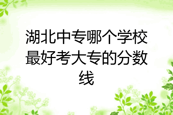 湖北中专哪个学校最好考大专的分数线