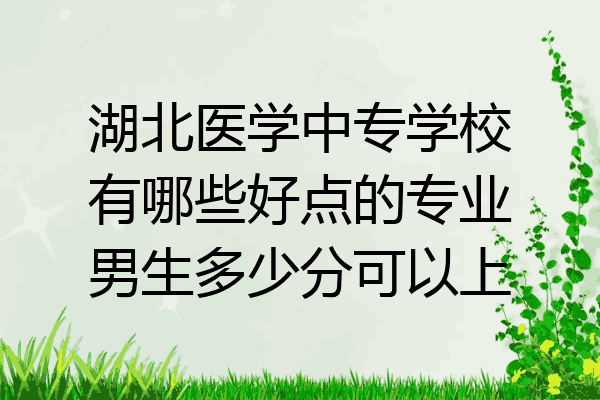 湖北医学中专学校有哪些好点的专业男生多少分可以上