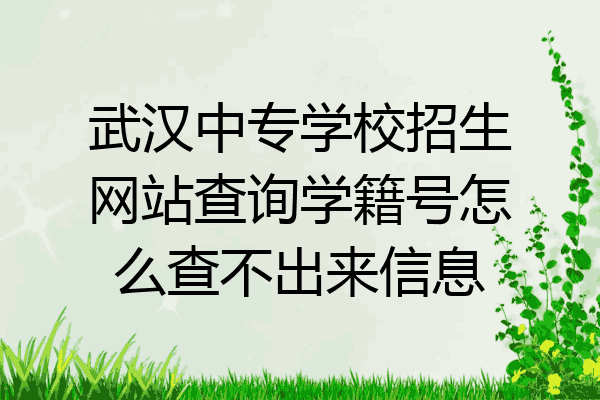 武汉中专学校招生网站查询学籍号怎么查不出来信息